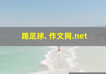 踢足球. 作文网.net